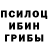 Галлюциногенные грибы Psilocybine cubensis Daric Daricttt