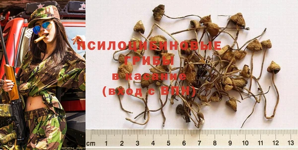 дживик Нефтегорск