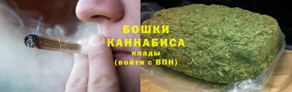гашик Нея