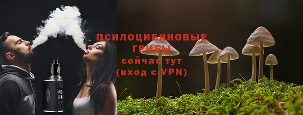 дживик Нефтегорск