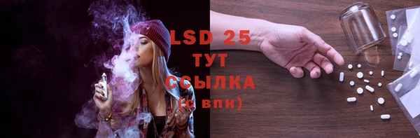 гашик Нея