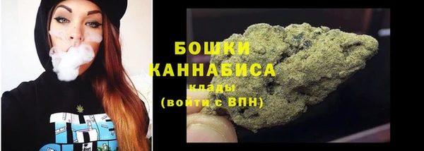 гашик Нея