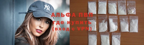 гашик Нея