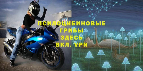гашик Нея