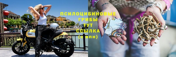 гашик Нея