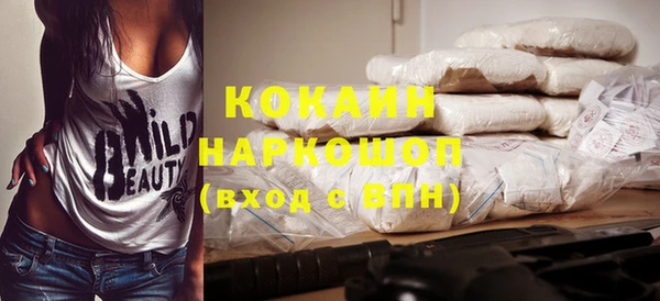гашик Нея