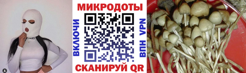 Галлюциногенные грибы Cubensis  hydra рабочий сайт  Краснодар 