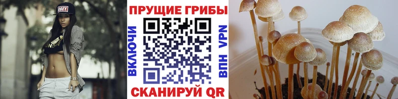 Псилоцибиновые грибы прущие грибы Краснодар